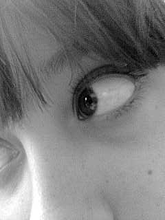 20080517165243-imagen034.jpg